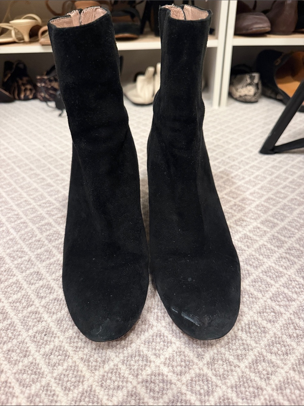 JCrew suede booties size 8